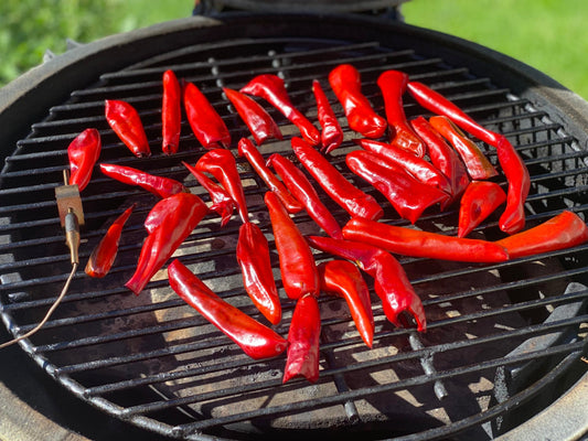 Odkryj tajemnicę kuchni świata: Papryka wędzona, czyli hiszpański sekret smaku!